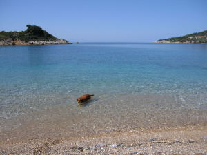 Alonissos island