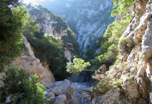 Alonissos island